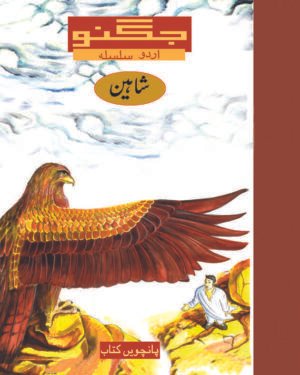 Shaheen Class 5