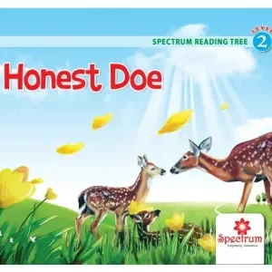 Honest Doe – Level 2