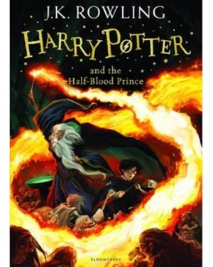 Harry Potter and the Half-Blood Prince part #6